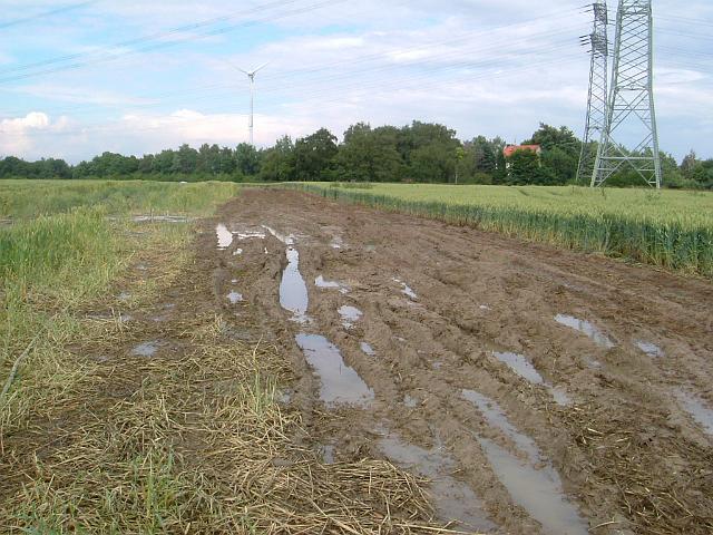 2004_0710_172834 (45).JPG - Südl. des Altbestandes Richtung Osten - Sobald der Acker befahren und verdichtet wurde, schlechte Versickerung.